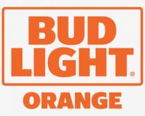 Anheuser Busch - Bud Light Orange 12oz Bottle